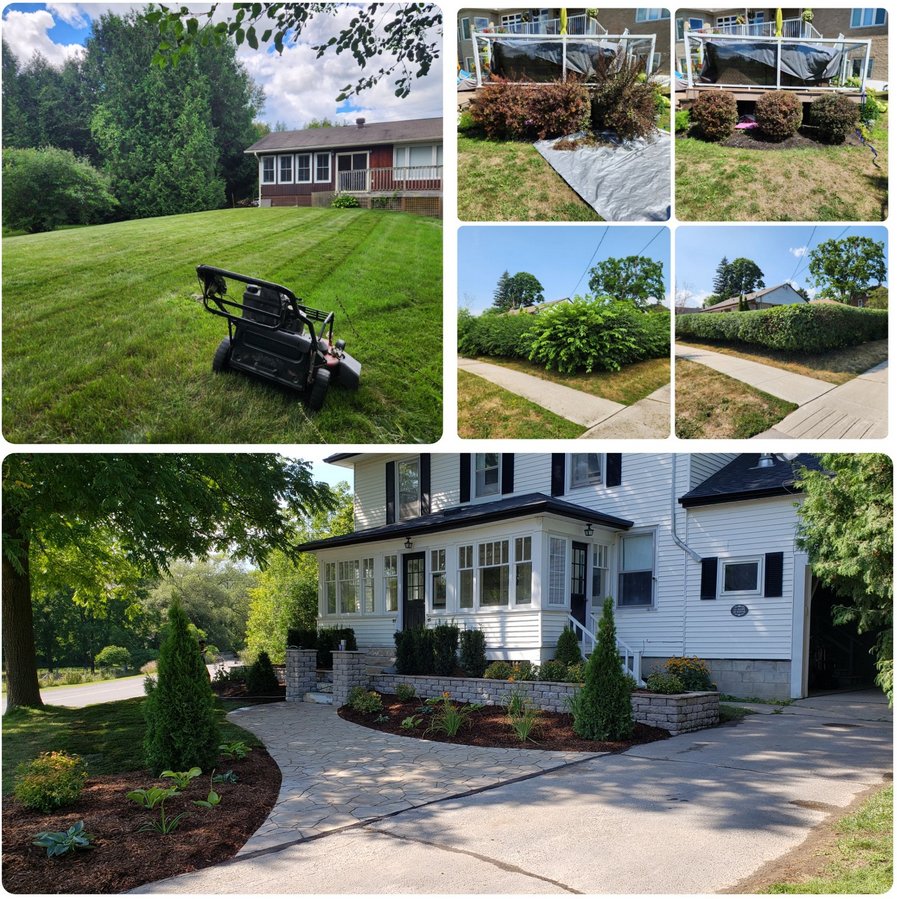 Daltons Property Maintenance lawn care Peterborough