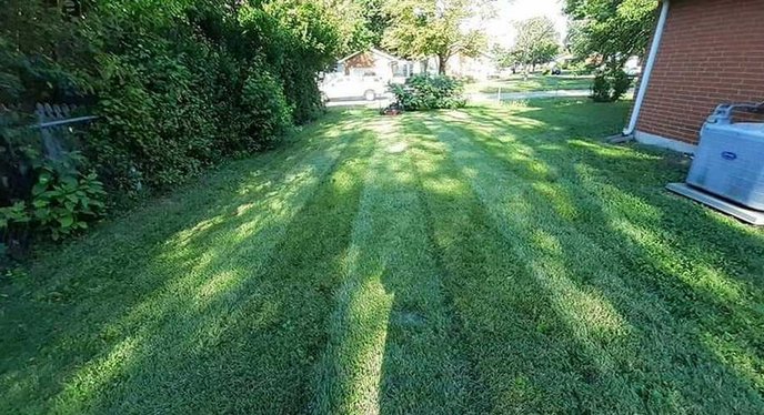 Daltons Property Maintenance striped lawn Peterborough