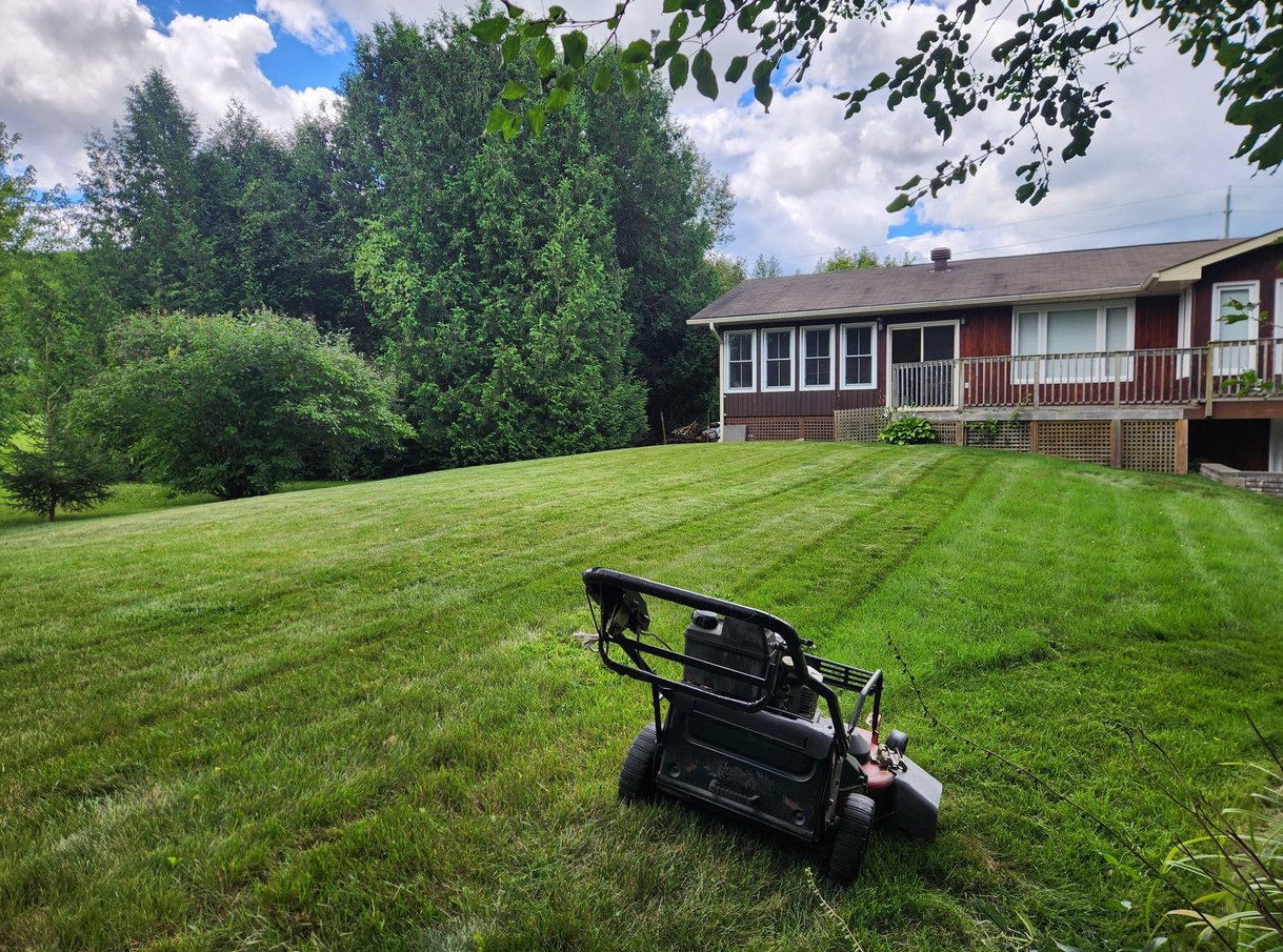 Daltons Property Maintenance lawn mowing Peterborough