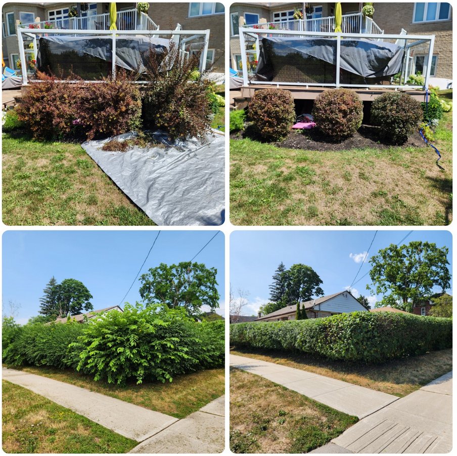 Beecroft and Sons stamped concrete patio Hamilton